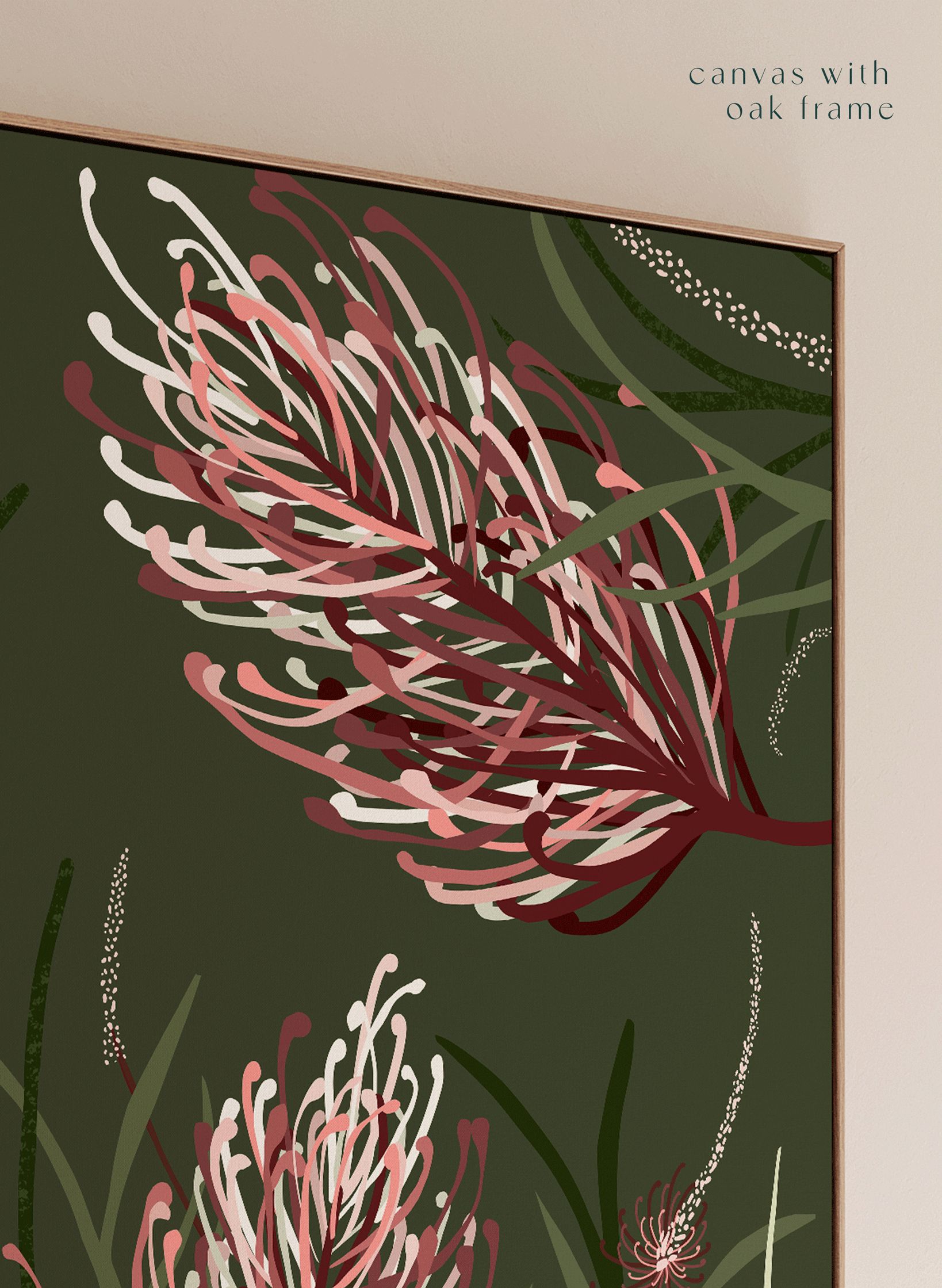 MOONLIGHT GREVILLEA 1