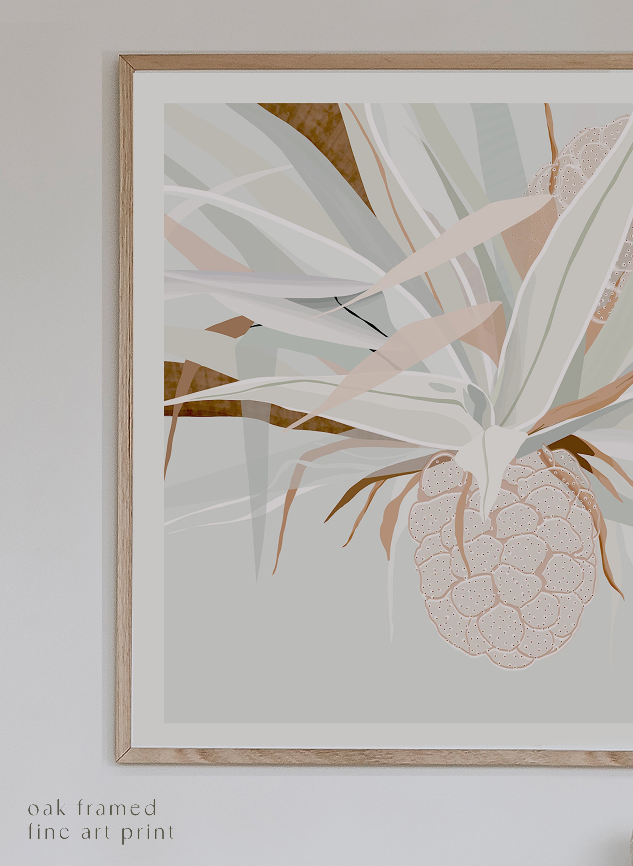PANDANUS PALM ~ LONG
