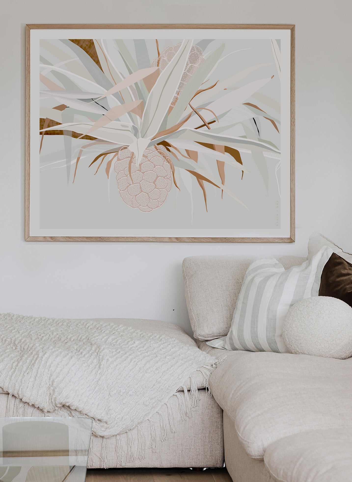 PANDANUS PALM ~ LONG