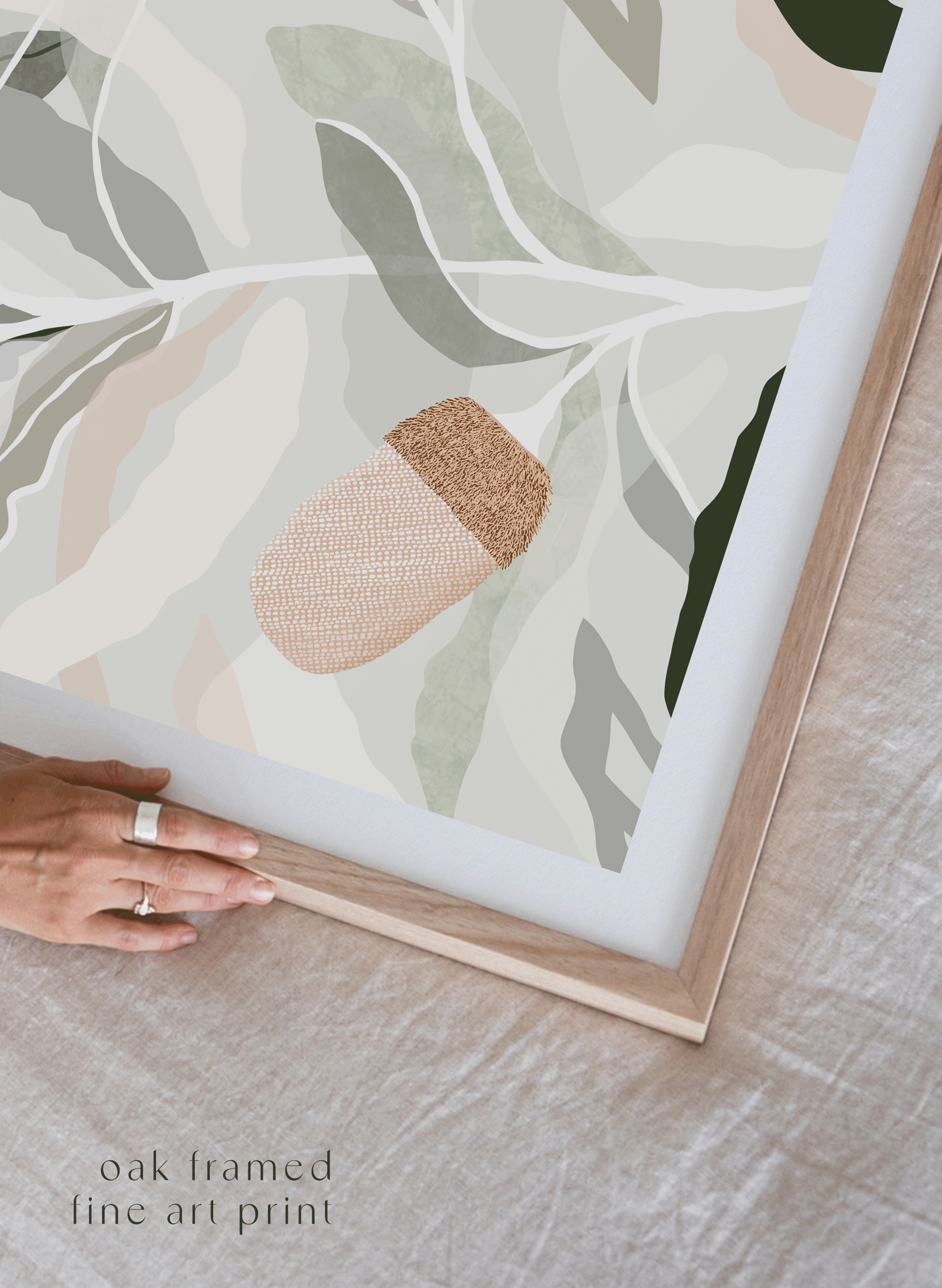 GOLDEN BANKSIA  ~ SAGE