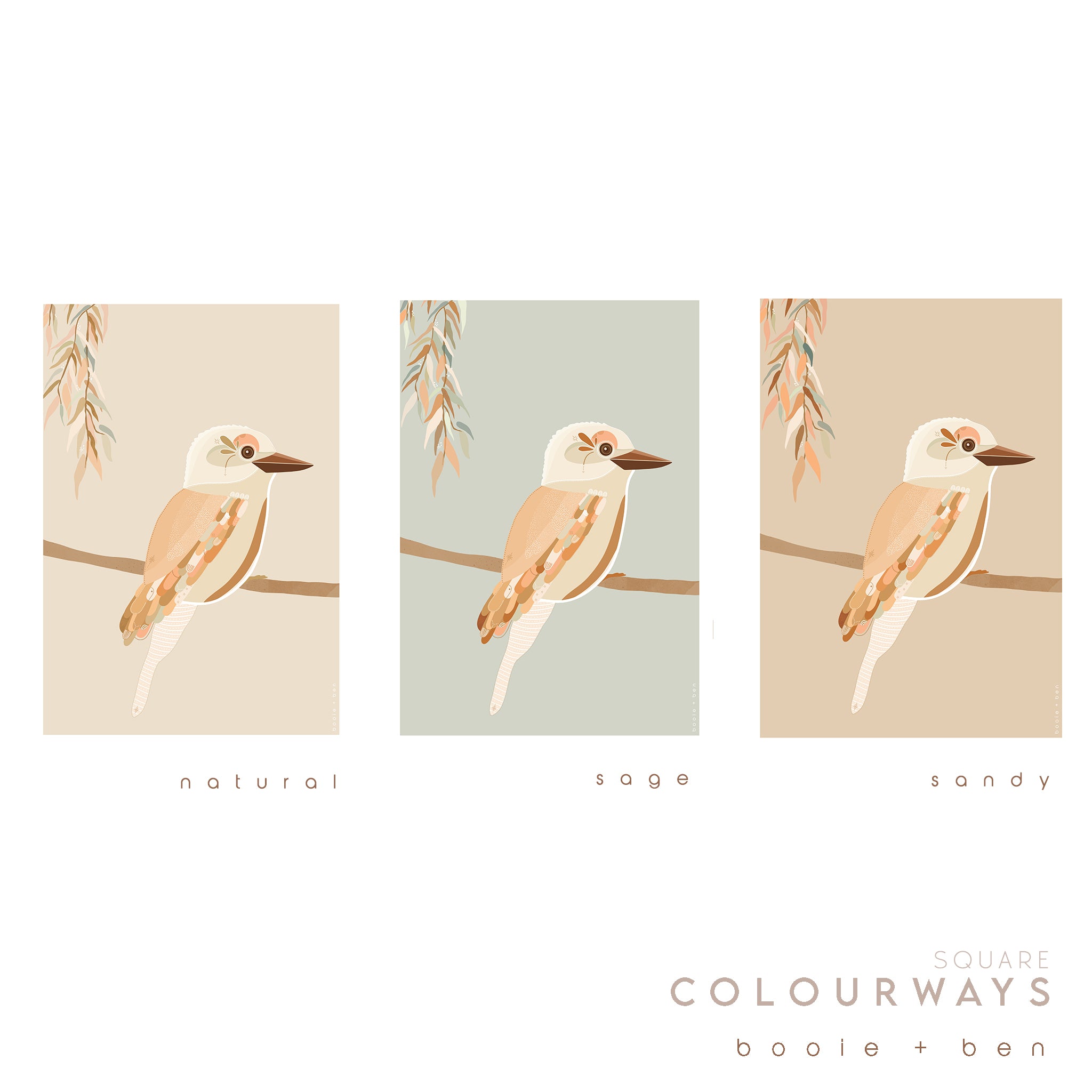 KOOKABURRA ARTWORK