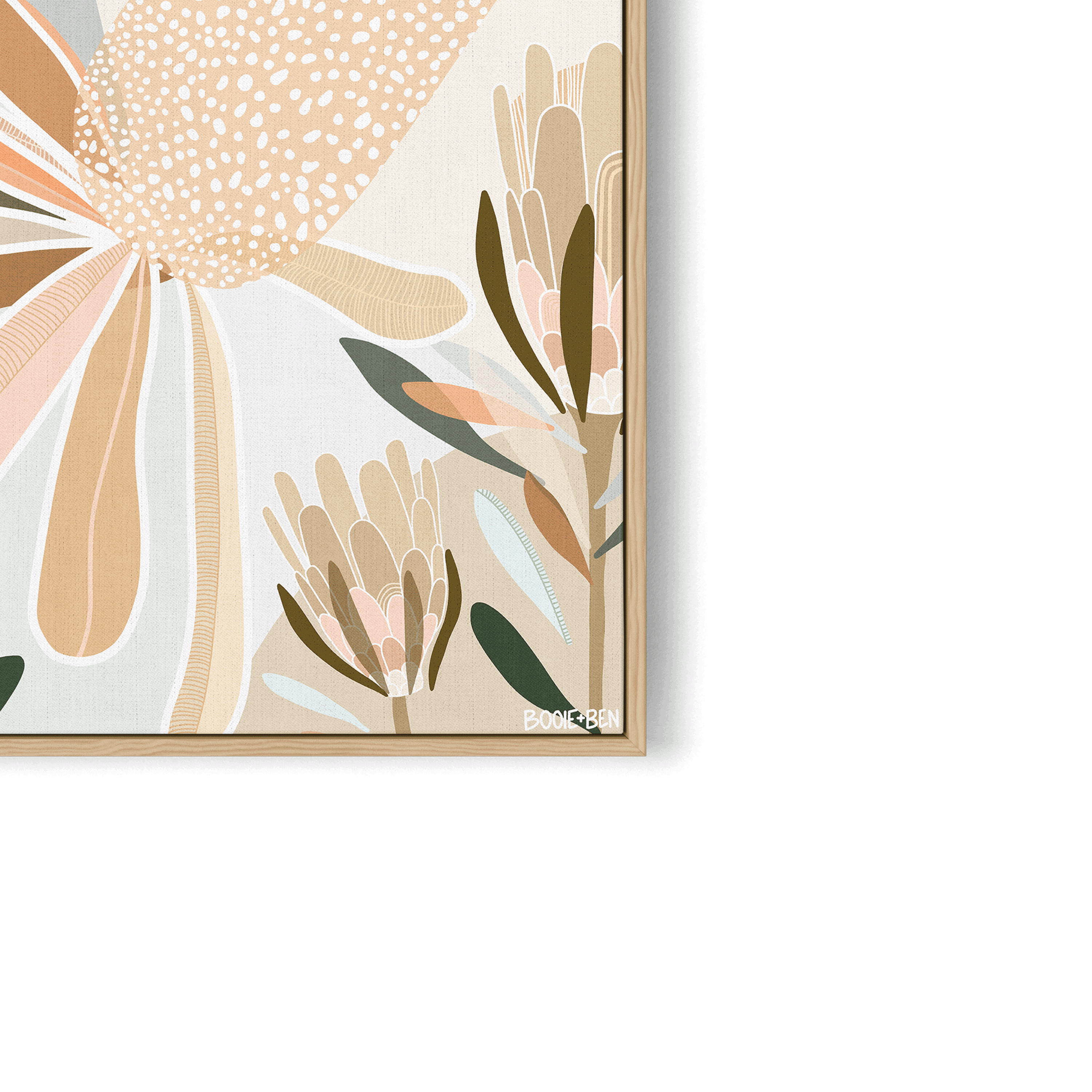 BANKSIA BOTANICAL