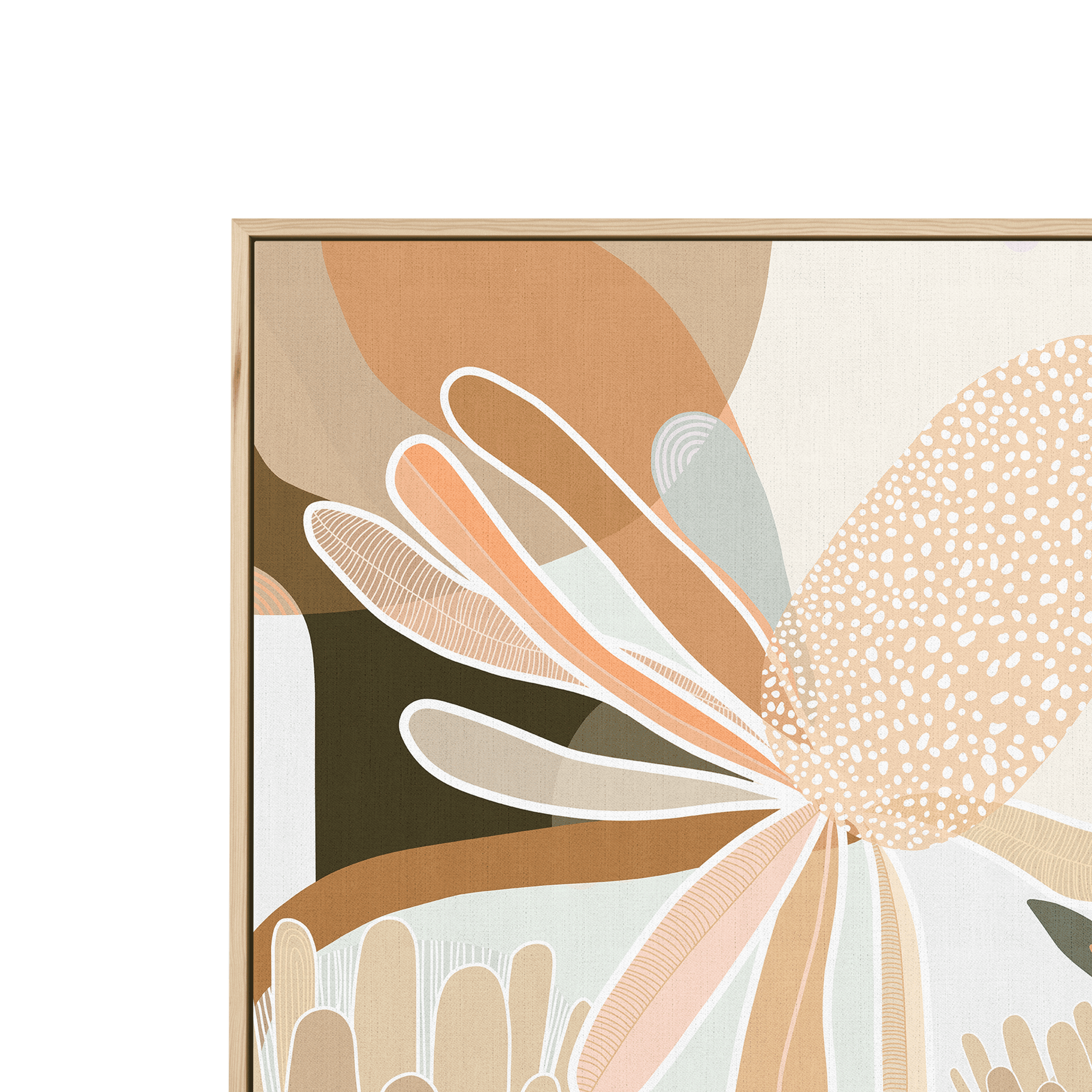 BANKSIA BOTANICAL